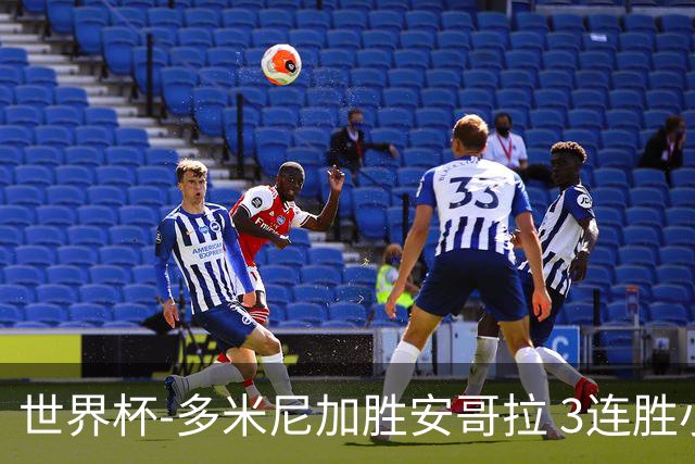 世界杯-多米尼加胜安哥拉 3连胜小组第一晋级