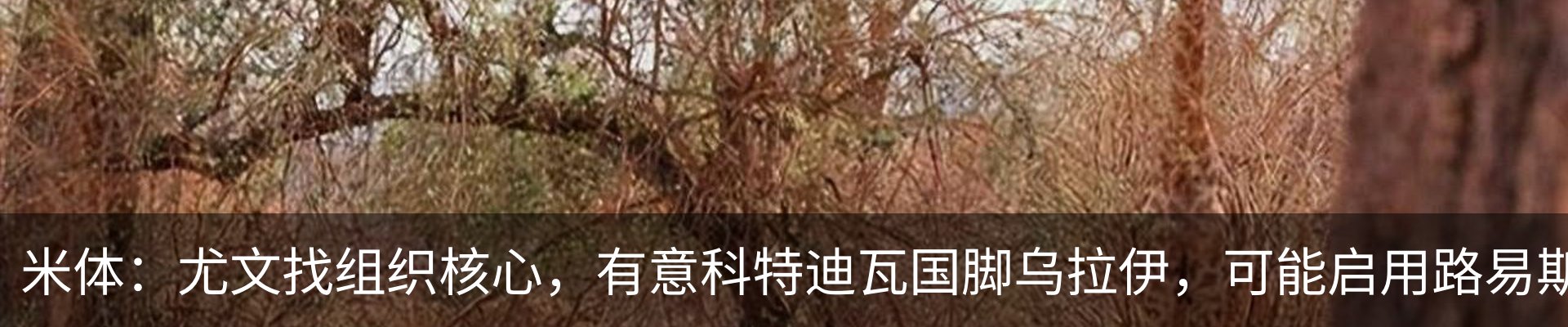 最新动态
