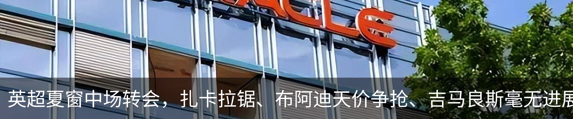最新动态